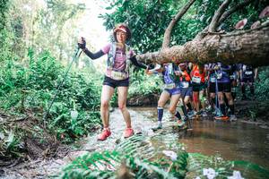 BIB: 
                            <button type="button" onclick="openModal(25470828)" class="btn btn-primary btn-sm float-right btn-popup" data-toggle="modal" data-target=".modal-high-quality">
                        <i class="fas fa-shopping-cart"></i> Add to Cart
                    </button>
                                            <button type="button" onclick="isThisMe(25470828, true)" class="btn btn-success btn-sm float-right btn-popup btn-isme hidden" data-toggle="tooltip" data-placement="bottom" title="นี่คือรูปของคุณใช่ไหม คลิกที่นี่เพื่อเอาเข้าอัลบั้ม">
                        <i class="fas fa-plus"></i> Add to album
                    </button>
                    <button type="button" onclick="isThisMe(25470828, false)" class="btn btn-warning btn-sm float-right btn-popup btn-isnotme hidden">
                        <i class="fas fa-ban"></i> Remove from album
                    </button>